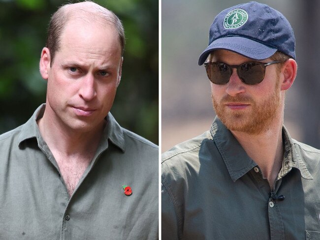 Prince William and Harry. Picture: