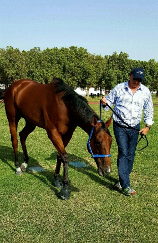 Buffering settling in to his new Dubai home this week. Picture: Supplied