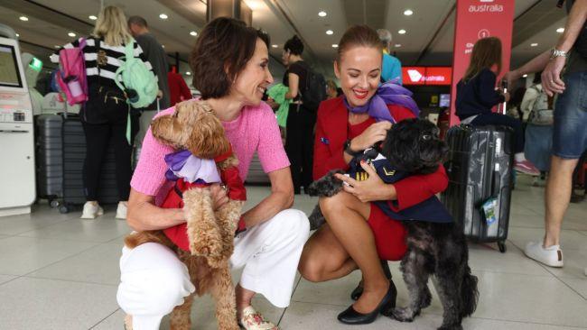 The fluffy pals can now ride up top. Image: Virgin Australia 