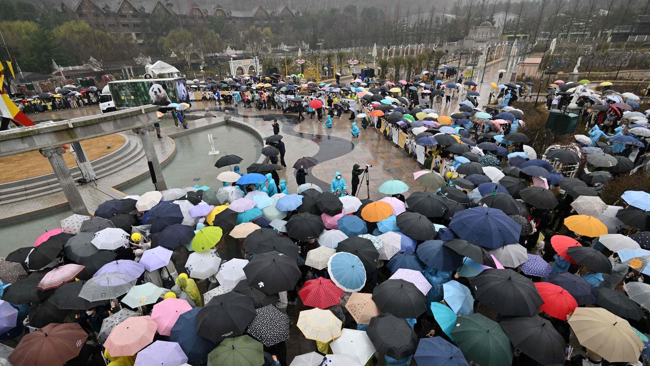 Hundreds of fans braved the rain to say farewell to the panda. Picture: Jung Yeon-je/AFP