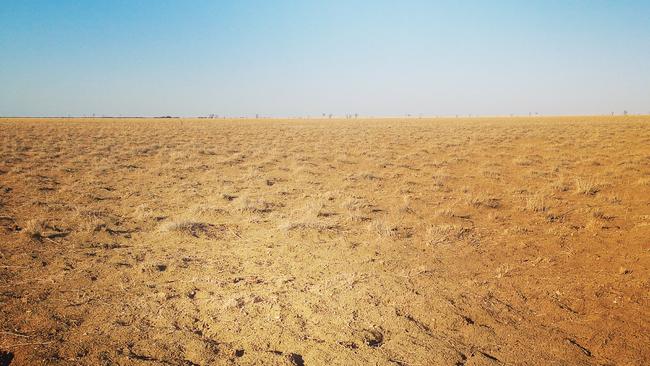 Drought conditions in north west Queensland