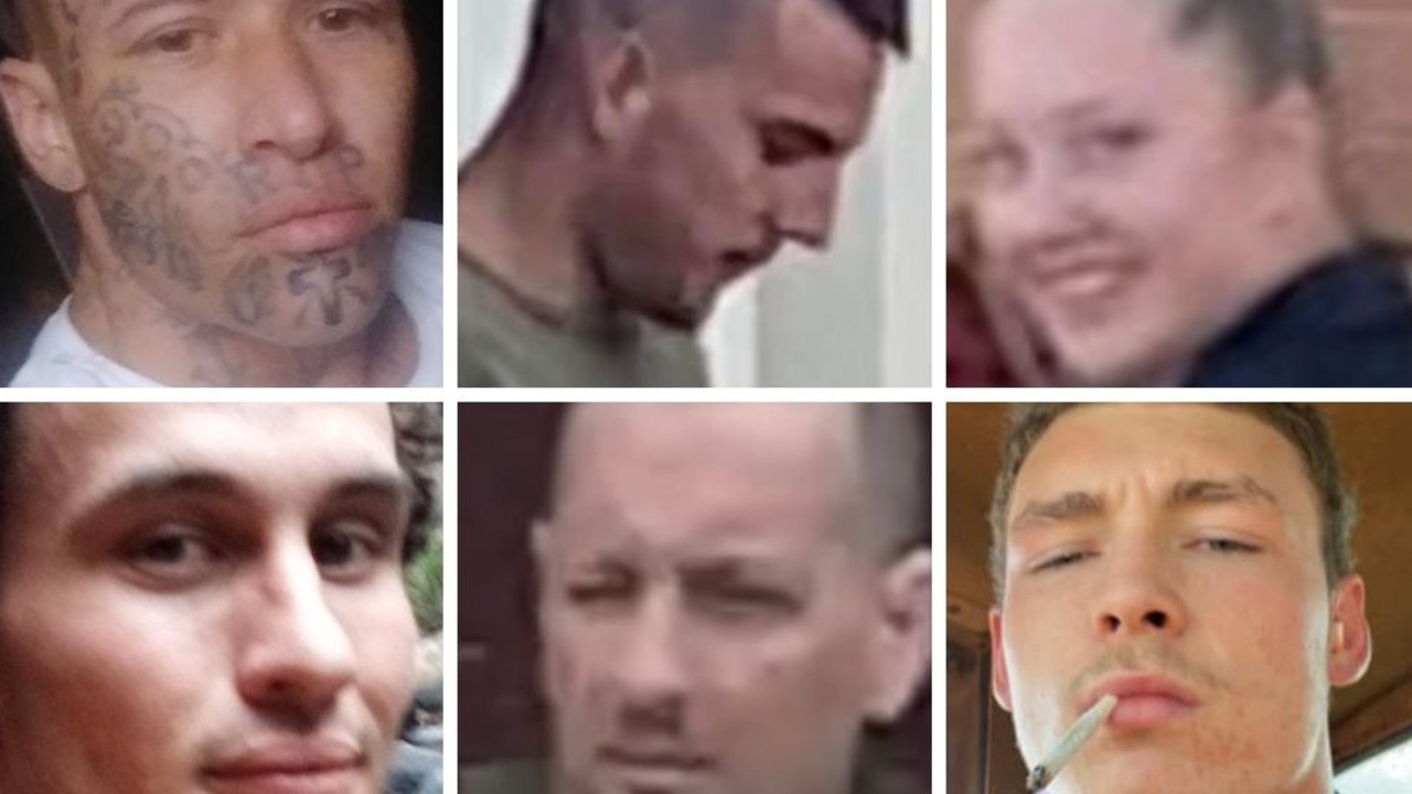 James Scott Hayes, Liam Jye Kirstenfeldt, Imogen Dawn Quinlan, Jack Raets Mcfadyen, Rade Trivanovic, and Cody James Kelly, have all been convicted at Gympie courts of drug dealing.