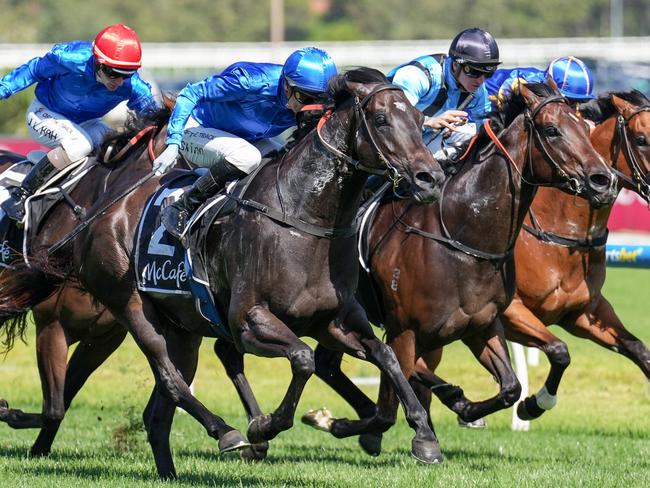 Kallos ridden by Blake Shinn wins the McCaf? Rubiton Stakes at Caulfield Racecourse on February 10, 2024 in Caulfield, Australia. (Photo by Scott Barbour/Racing Photos via Getty Images)