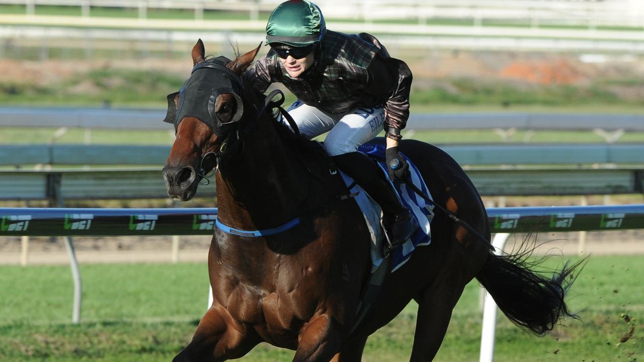 My Quilter (Sarah Eilbeck) winning at Doomben. Picture: Grant Peters, Trackside Photography.