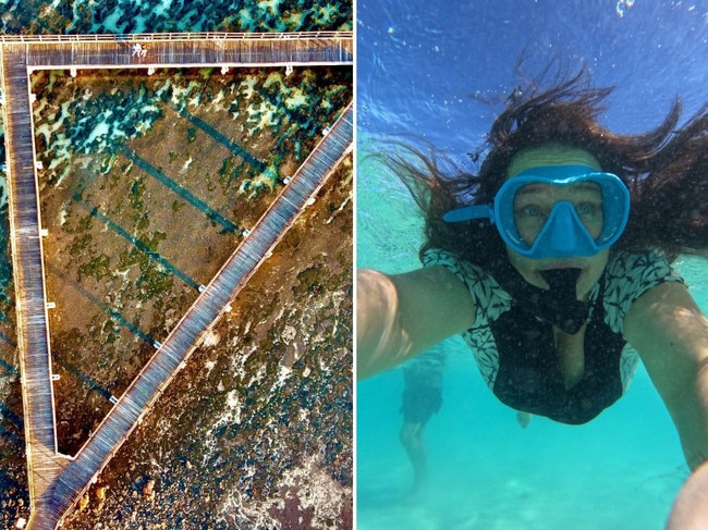 Looking for the origins of life? Try Shark Bay in Western Australia.