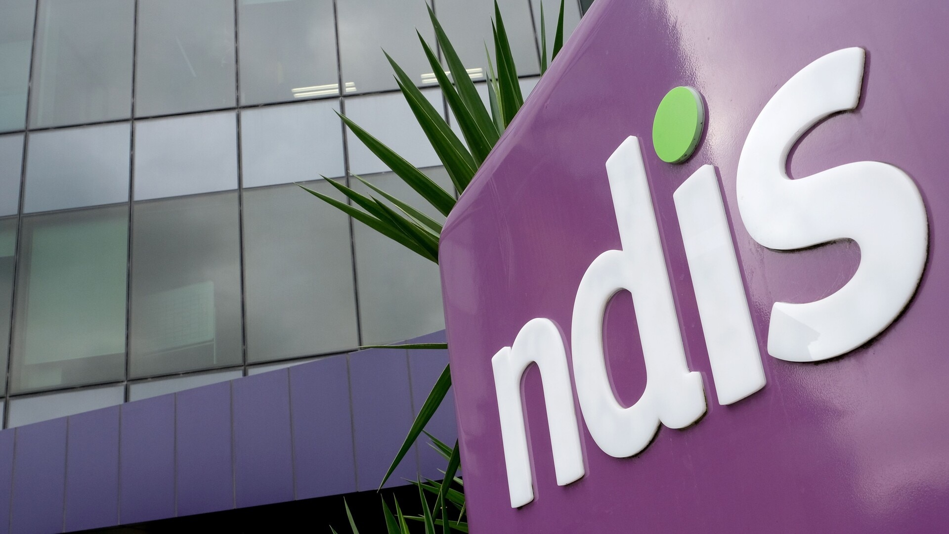 Social services minister joins Sky News Australia to discuss NDIS portfolio