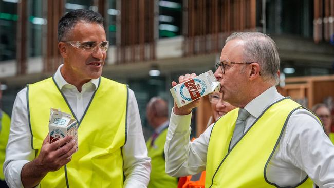 Prime Minister Anthony Albanese slams a carton of Farmers Union iced coffee with SA Premier Peter Malinauskas while visiting Tonsley TAFE in the electorate of Boothby on Thursday. Picture: Asanka Ratnayake/Getty Images