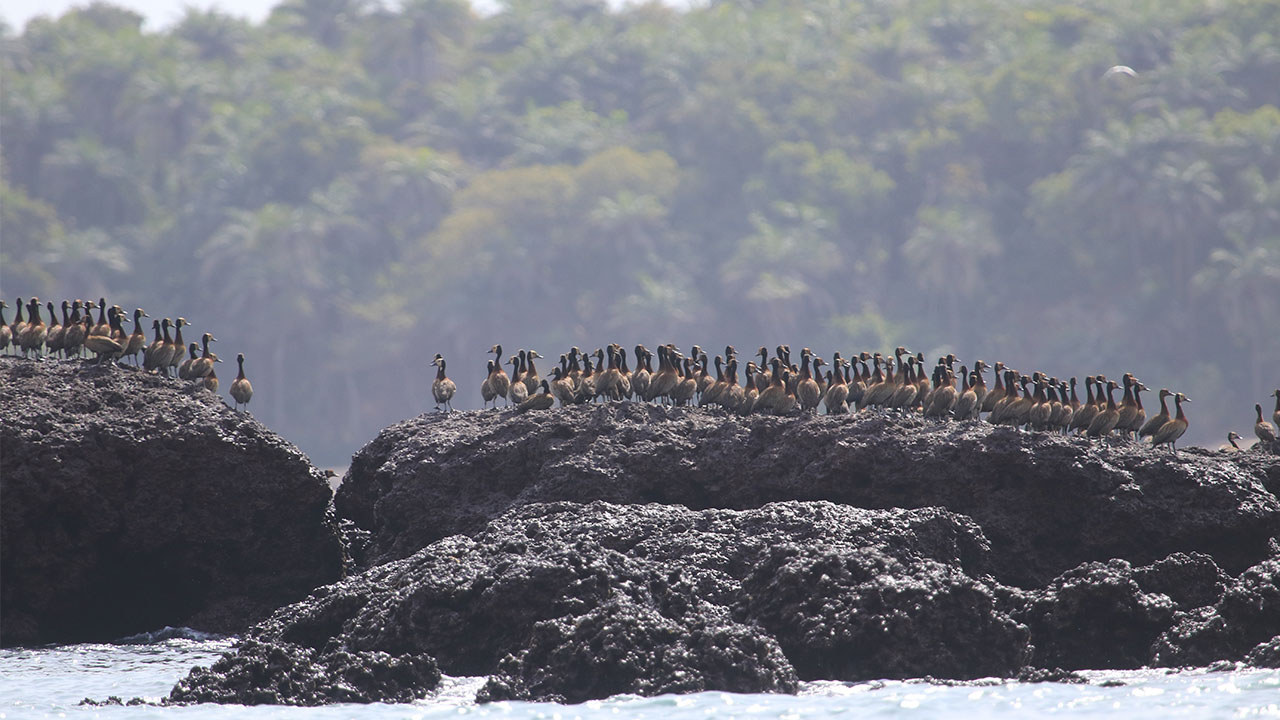 World’s best islands to discover | The Mercury