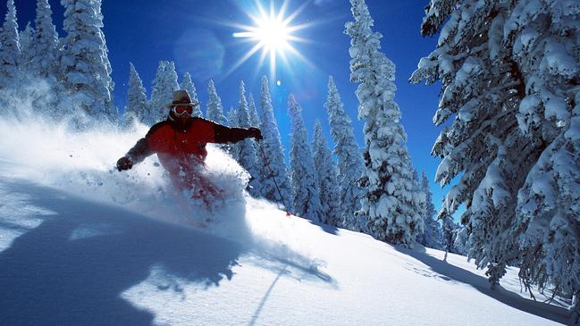 Skiing the trees in Steamboat powder. PicTure: Larry Pierce