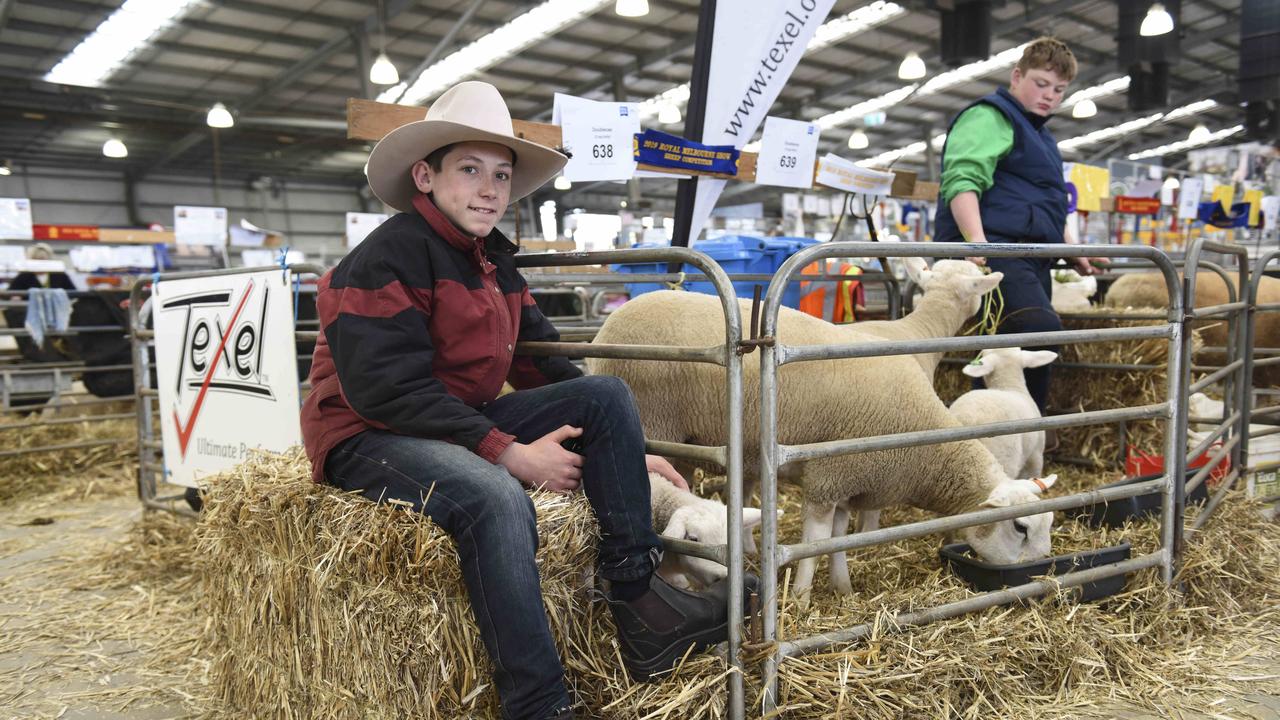 Isaac Oehm from Jindera, NSW, at the Royal Melbourne Show. Photo: Dannika Bonser