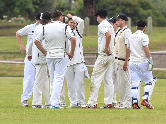 Crib Point players celebrate a Long Island wicket on Saturday.