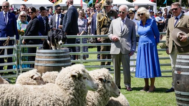 The royal couple check out sheep. Picture: AFP