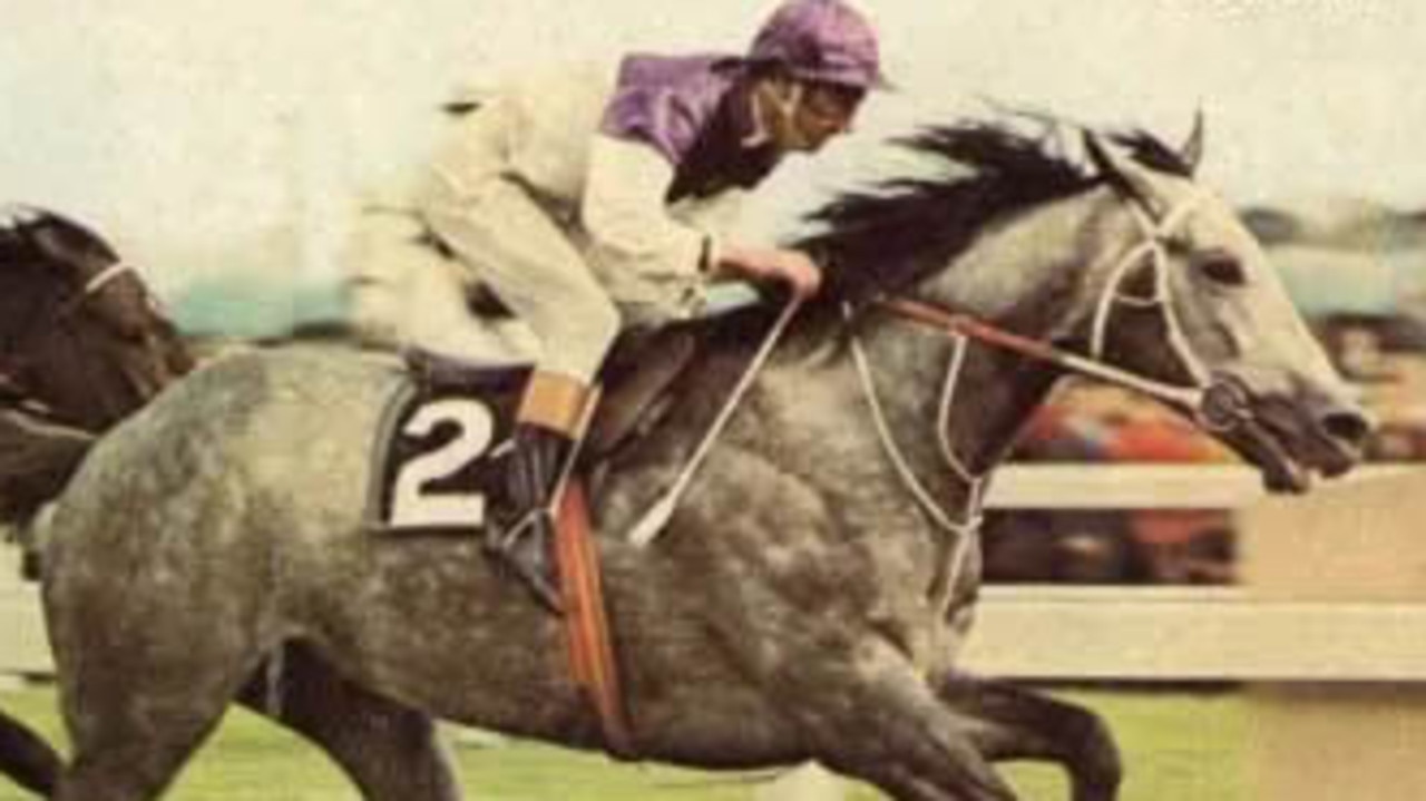 Gunsynd hit his true form thereafter. 1971 brought the Rawson Stakes, Epsom Handicap, Toorak Handicap, Sandown Cup and George Adams Handicap.