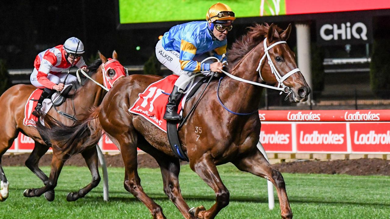 Vowmaster has been well backed in race 5 at Rosehill on Saturday. Picture: Getty Images