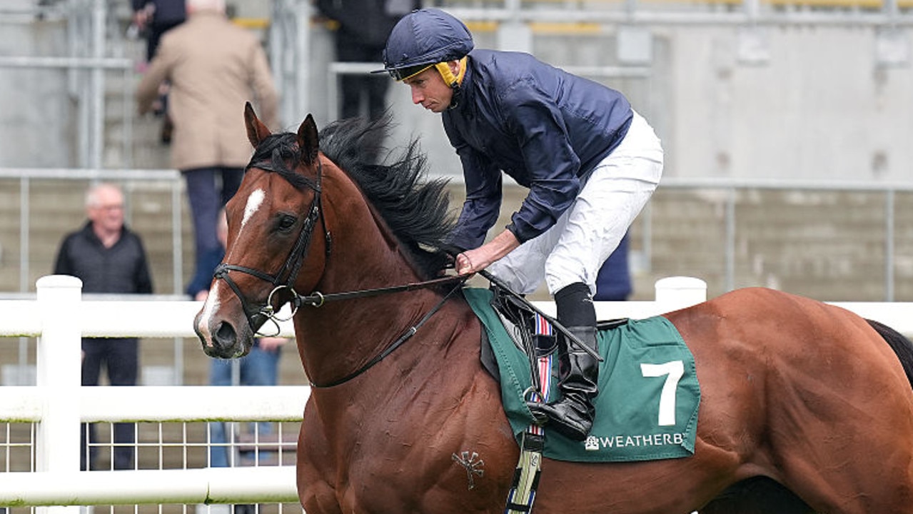 Storm Boy finished last of nine in his debut for Irish trainer Aidan O’Brien. Picture: PA Images via Getty Images