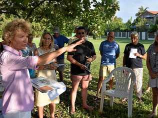 NOT HAPPY: Andrea Fox explains to five Noosa councillors why residents are not happy with the proposed park upgrades. Picture: Peter gardiner