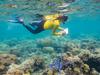 Sustainable tourism ‘main priority’ as TTNQ launches travel hub