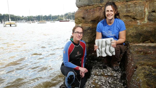 Macquarie University coastal ecologist Melanie Bishop and colleague Beth Strain at Sydney Harbour. Picture: Annika Enderborg