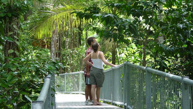 Daintree Discovery Centre Aerial Walkway.