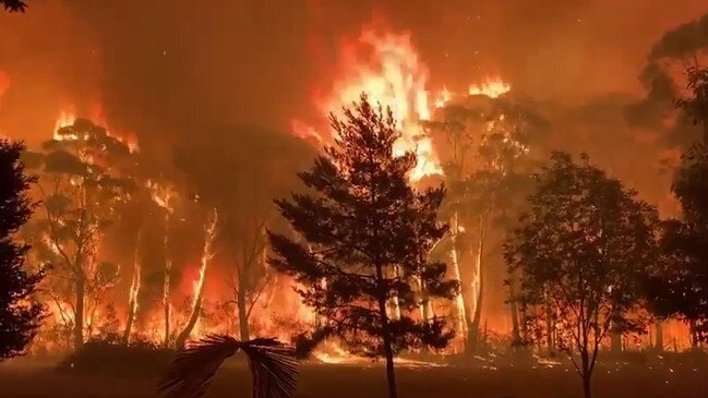 Flames at Mt Tomah reached 17m. Picture: NSWRFS Captain Peter Duff