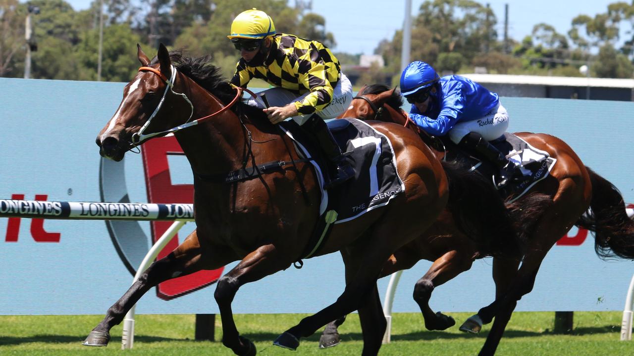 Highly talented colt Remarque is out to give John Hawkes and John Messara their first Group 1 win together. Picture: Grant Guy