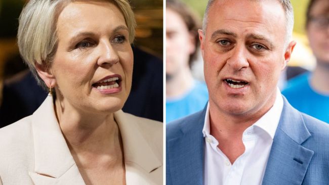 Plibersek axed from environment in cabinet reshuffle; Wilson won’t run for party’s top job