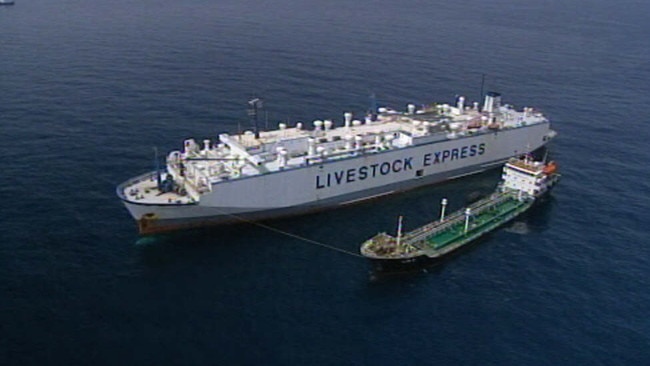 The "MV Cormo Express" livestock carrier in the Persian Gulf. Picture: Channel Nine