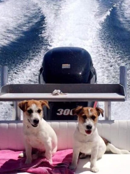 Tassie's Pawfect Pairs | Karen Hansen: Lilly and Digger Hansen