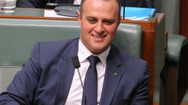 ‘Voting Yes will ensure a Liberal/National government ­introduces sensible legislation,’ says Tim Wilson. Picture: Gary Ramage