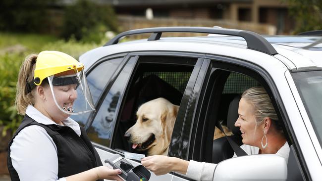 Vet seeing fur patients in the car park to limit exposure to COVID-19 virus by owners. Picture: David Caird