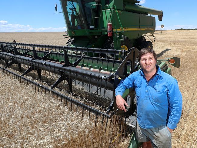 Nick Schulz harvesting wheat, near Strathkellar, Victoria Point Rd,    Picture Yuri Kouzmin