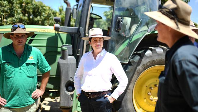 Queensland Premier Annastacia Palaszczuk announced cuts to irrigation prices for farmers should Labor wins government on October 31. Picture: NCA NewsWire / Dan Peled