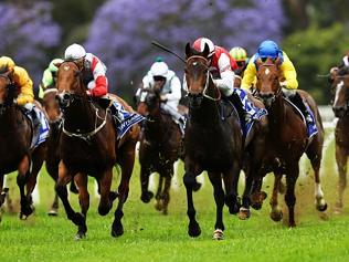 Warwick Farm races