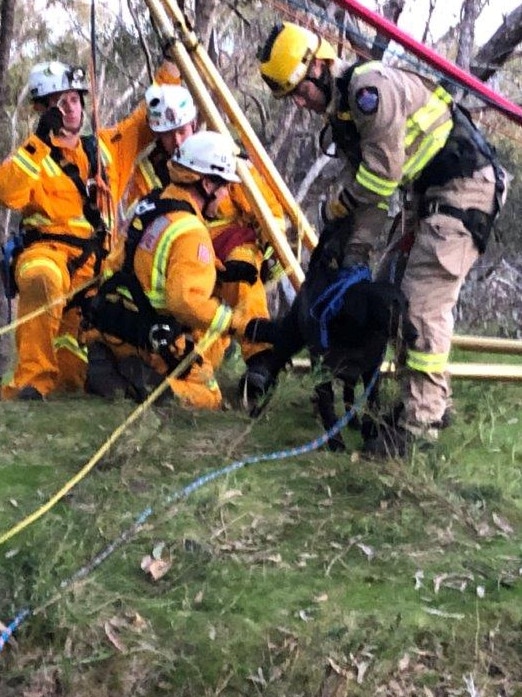 Oscar One was called in to help retrieve Marah.