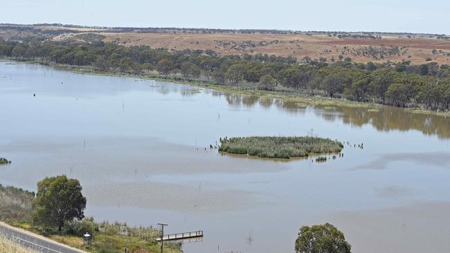 View of River Murray near Mannum after recent rain. Picture: Tom Huntley