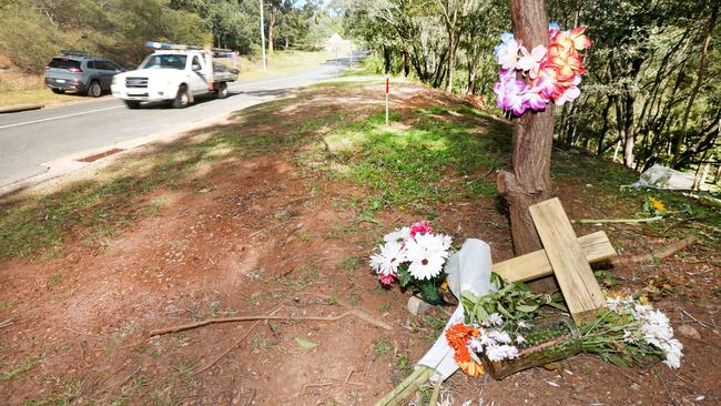 The homeowner wants the ‘ugly’ shrine taken off his property. Picture Mike Batterham