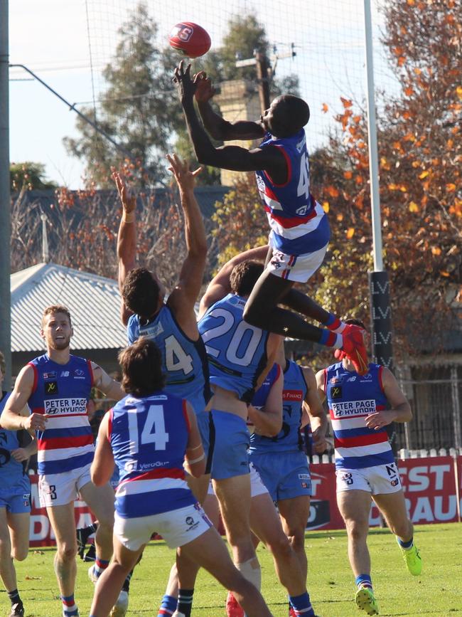 Alleer was a standout at SANFL level this season. Picture: Robert Laidlaw