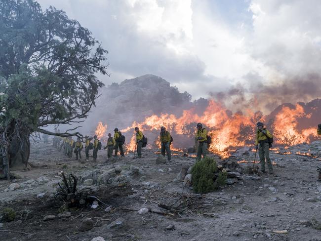The Granite Mountain Hotshots save the alligator juniper tree by lighting a backburn in Columbia Pictures' ONLY THE BRAVE.