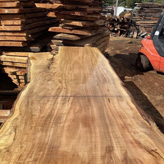 The Beaches Timber mill produces timber slabs that can be used for a variety of purposes. Picture: Beaches Timber