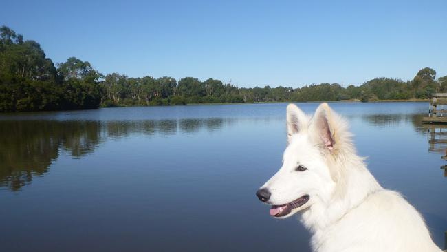 Jells Park attracts almost thousands of visitors every year. Picture: Debbie Noller