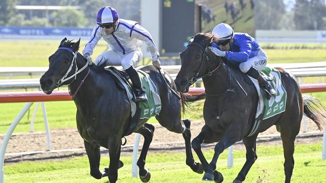 Cryptinic (left) looks well placed to break his maiden at Wyong. Picture: Bradley Photos