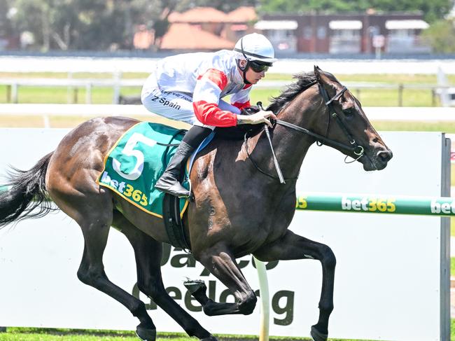 Climate Change wins at Geelong on debut in December. Picture: Reg Ryan-Racing Photos