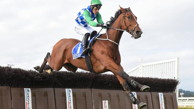 Stern Idol and jockey William McCarthy will again combine in the Brierly Steeplechase at Warrnambool. Picture: Racing Photos via Getty Images.