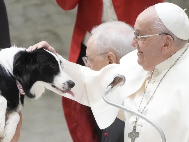 Pope Francis pets a dog at the Vatican in 2025. Picture: AP
