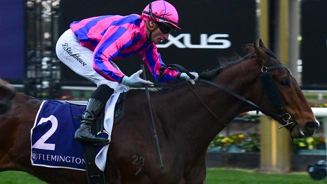 The Ben and JD Hayes-trained Nicolini Vito will attempt to notch back-to-back wins when he steps out at Flemington on Saturday. Picture: Vince Caligiuri/Getty Images