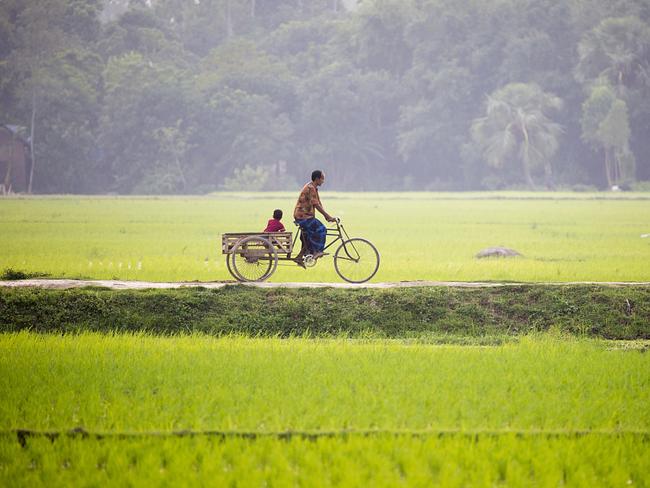 Pictures from #Green2020, Agora’s latest online photo contest. 'On the road' by @touhid_biplob (Bangladesh).