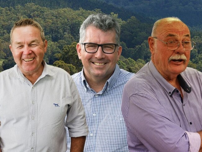 QLD candidates thumbnail canva art