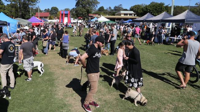 Paws at the Park, the first Gold Coast dog markets at Mudgeeraba Showgrounds. Crowds at the show. Picture: Glenn Hampson.