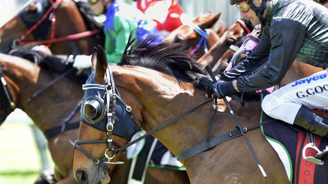 PointsBet has fielded two $340m-plus buyout proposals. Picture: Claudia Baxter