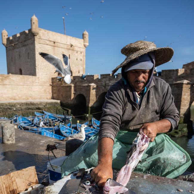 Fisherman cleaning fish in the port of Essaouira next to the city walls. Picture: Getty Images.